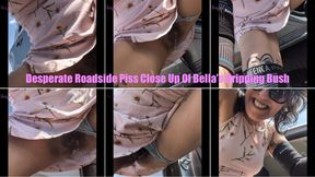 Desperate Roadside Piss Close Up Of Bellas Dripping Bush