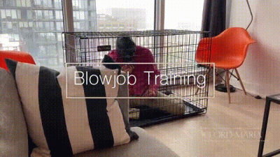 Blowjob Training