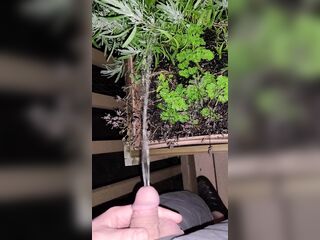 Pissing In The Flowers! 《4k》