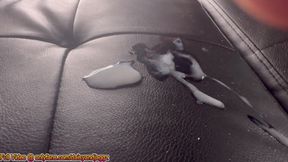 Spanish Girl PEGS desperate white guy