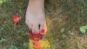 Summer tomato feet playing