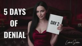 5 days of denial DAY 2