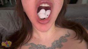 Swallowed WHOLE: 17 Squishy Toys, Tiny People and Foods Object Vore