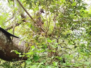 A buddy grabbed me in the woods and rammed his shlong hard into me, cumming unfathomable inside my booty.