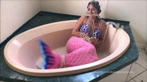 Mermaid caught and taken home