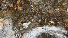 Raining