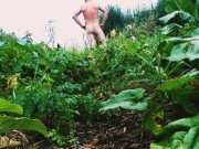 Strip naked in field