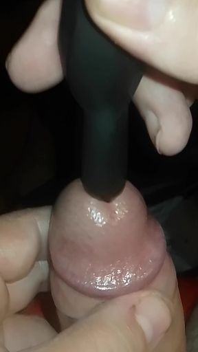 Vibrant Pleasure