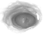 The Storm Before The Calm: Internal camera only.