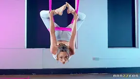 Danny D And Lily Labeau - Aerial Downward Doggystyle