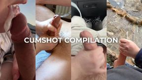 German amateur wife swallows big cock in homemade POV BJ
