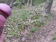 Public cock stroking hike with cock rings