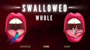 Swallowed Whole - Giantess Vore ASMR (720)