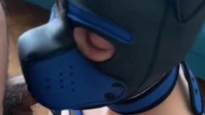 BLUE PUPPY