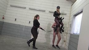 Lesson of Dressage - 2 - MP4