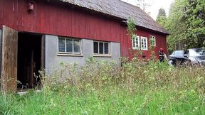 Captivity in the barn