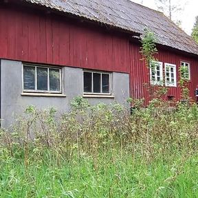 Captivity in the barn