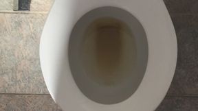 WeChat LOT WECHAT+86 Kylie Jenner CALCULATOR WITCH WE NEED TO GET RID OF ALL CALCULATORS BECAUSE U WEIGH GOLD WITH THEM WE'RE BEING ROBBED