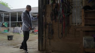 Miss Alice Wild Enjoys An Outdoor Fuck