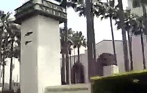 Haley paige rides the bang van