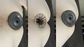 reneenicolecd - update #12 - you can always fit one more 4.1 inches new max stretch - feb 03, 2026
