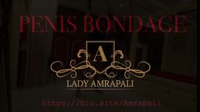 PENIS BONDAGE Total lenghts 2:11 minutes Cockbondage Cock CBT Slave  LADYAMRAPALI  Herrin Mistress Domina