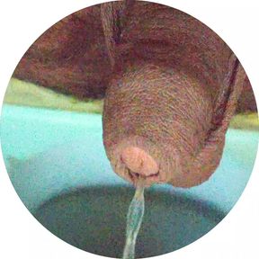 xHamster handjob