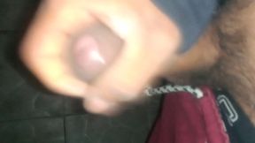 Rica Polla