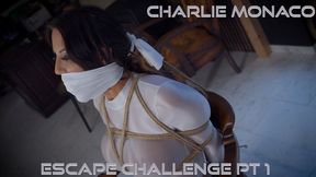 Charlie Monaco - Escape Challenge Pt 1 MP4 HD ( Wrap Gagged , Bound Gagged , Rope Bondage , Tied Up Gagged , Bondage , BDSM , Escape Challenge , OTM Gag , Duct Tape Wrap Gag , Hairtie , Chairtied , Struggling , Charlie Monaco )