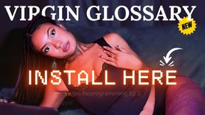 Virgin Reprogramming EP2: Installing Your New Virgin Glossary