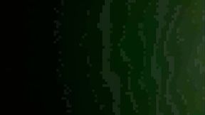 Jerome Dyson fucking Mexican girl Letti