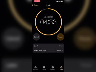 5 minute timer
