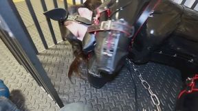 Human-dog restraint and confinement training