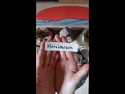 2026/08/30 - Zen Practice – Altar Offering