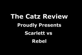Scarlett vs Rebel