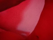 Amiga de mi novia dice "Me encanta la verga" mientras me la cojo