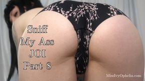 Sniff My Ass JOI Part 8