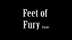 Feet of Fury 2