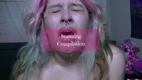 Sneezing Compilation