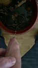 At the office, I pee into a potted plant through the foreskin of my uncircumcised penis.