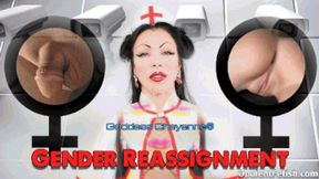 Gender Reassignment wmv