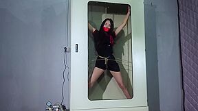 The Missing Flight Attendant