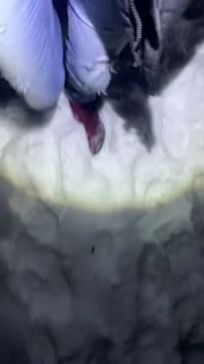 Girl Desperately Pisses Her Jeans In The Snow