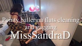 Pointy ballerina flats cleaning and gagging
