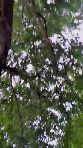 Slutboyben Cam4 Sexy Cruising Chick V Outdoor Voyeur