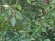 Blowjob after jogging