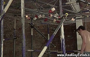 Sex boys gay free video his pecker is throated and