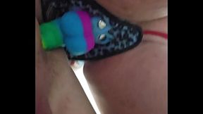 rainbow peg pov