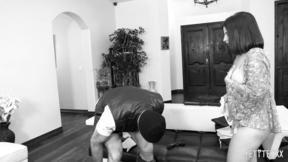 ”Juicy chick Avery Black is tightened with Charles Dera's dick”