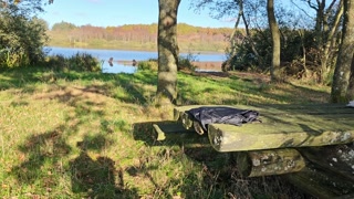 Blowjob, cum in mouth and a lake-swim in the Scandinavian autumn sun